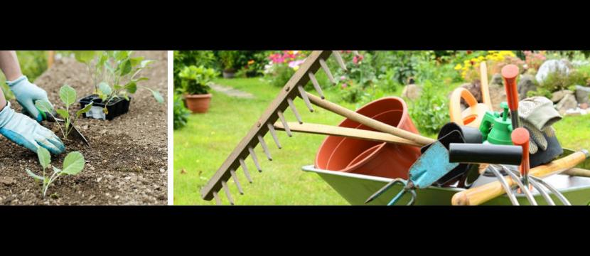 Stephen Huxtable Garden Maintenance