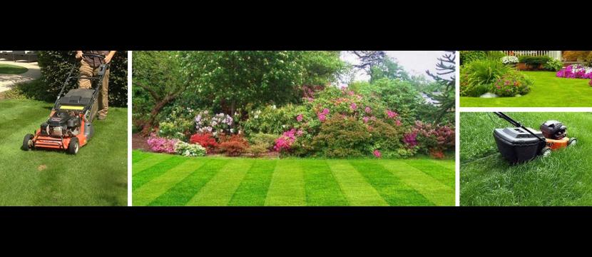 Stephen Huxtable Lawn Care Services