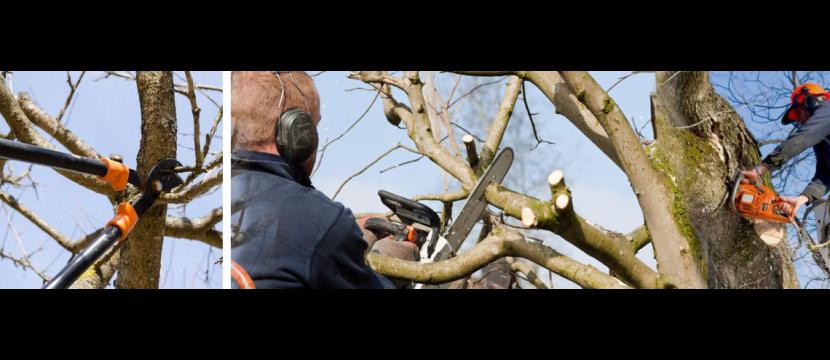 Stephen Huxtable Hedges & Smal Tree Maintenance