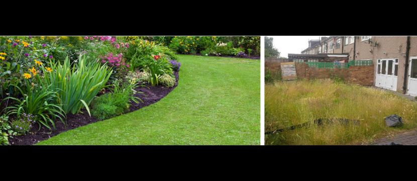 Stephen Huxtable Garden Maintenance