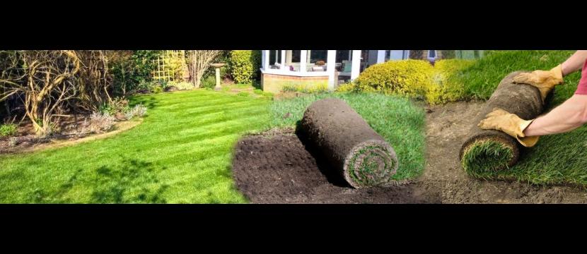 Stephen Huxtable Lawn Care Services